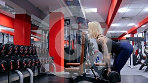 Athletic young woman lifting dumbbells at the gym