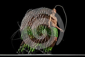 Athleticism and agility of muscular man in motion, jumping rope, showing dedication to fitness against black background