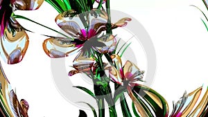 Atkinsiana Botanical Flowers 3D Rendering