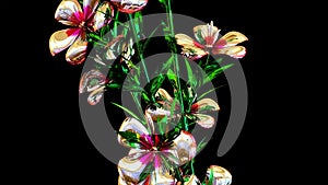 Atkinsiana Botanical Flowers 3D Rendering