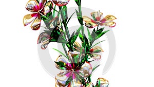 Atkinsiana Botanical Flowers 3D Rendering