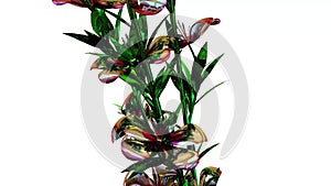 Atkinsiana Botanical Flowers 3D Rendering