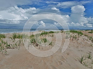 Atlantic Beach Dunes