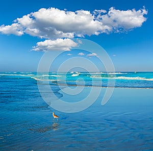 Atlantic Beach in Jacksonville of florida USA