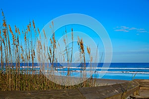 Atlantic Beach in Jacksonville of florida USA