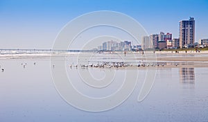 Atlantic Beach in Ponte Vedra, Florida