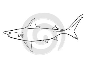 Atlantic Blacktip Shark Fish in New England and Mid Atlantic Cartoon Drawing