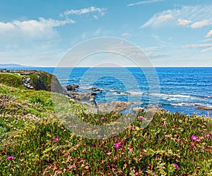 Atlantic blossoming coastline (Spain