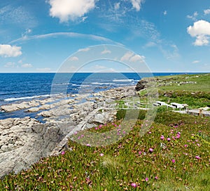 Atlantic blossoming coastline (Spain