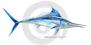 Atlantic blue marlin in a majestic leaping pose, highlighting the strength and agility of this magnificent fish