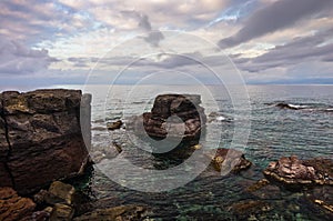 Atlantic bluefin tuna favourite spawning place near San Pietro island, Sardinia, Italy