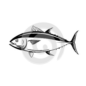 Atlantic Bluefin Tuna Northern Bluefin Tuna Giant Bluefin Tuna or Tunny Side Retro Black and White