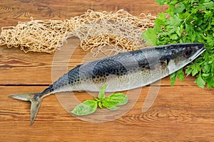 Atlantic chub mackerel on a wooden surface with fishing net