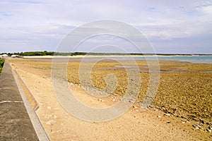 Atlantic coast sand beach low tide at Saint vincent sur Jard Vendee france