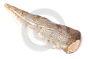 Atlantic cod fillet photo