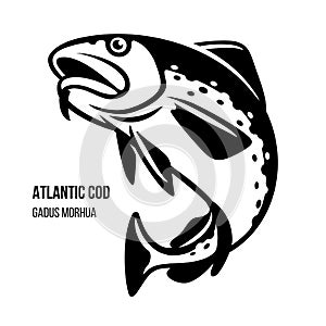 Atlantic Cod fish vector illustration