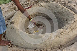 Children caught The Atlantic ghost crab Ocypode quadrata also known as sand or beach crab and water it. The Atlantic ghost crab photo