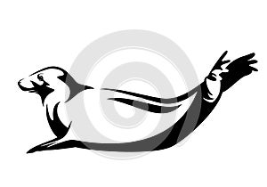 Atlantic grey seal black and white vector outline design