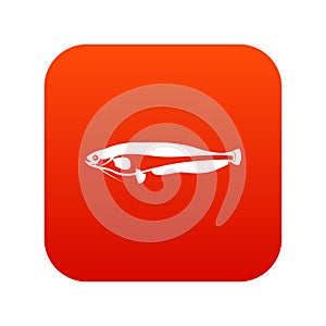 Atlantic mackerel, Scomber scombrus icon digital red