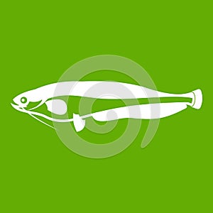 Atlantic mackerel, Scomber scombrus icon green