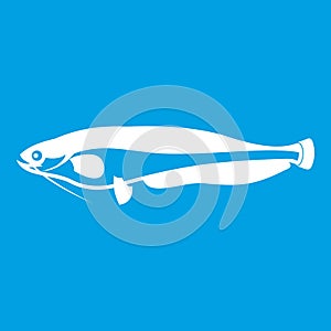 Atlantic mackerel, Scomber scombrus icon white