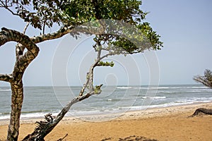 Atlantic ocean Bel Air beach Guinean waters photo