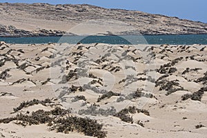 Atlantic Ocean coast near Luderitz town in Namibia