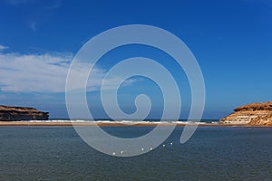 Atlantic ocean with seagulls