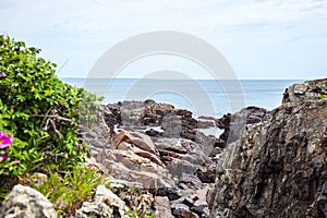 Atlantic Ocean view along the rocky coast of Maine on the Marginal Way path in Ogunquit
