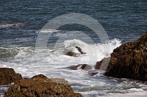 Atlantic ocean waves crashing on rocks rocks in ogunquit maine area
