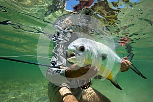 Atlantic Permit - Fly Fishing