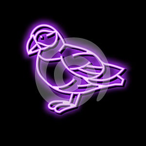 atlantic puffin bird exotic color icon vector illustration