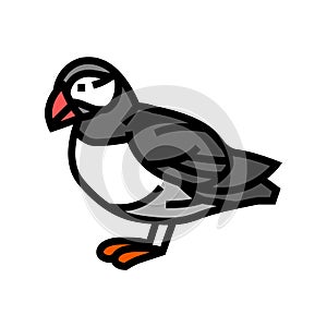 atlantic puffin bird exotic color icon vector illustration