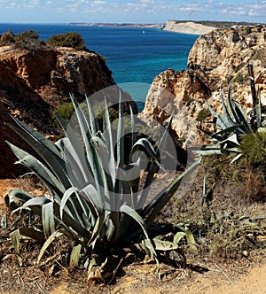 Atlantic rocky sunshiny coastline Algarve, Portugal.