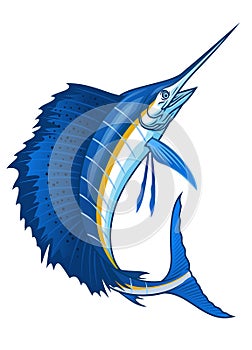 Atlantic sailfish with big sail fin