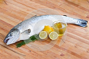Atlantic Salmon fish