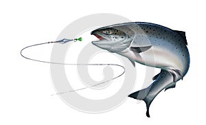 Atlantic salmon or pink salmon attacks fish bait jigs and stakes isolate realistic illustration.