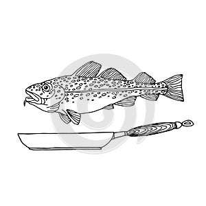 Atlantic spotted cod with a frying pan