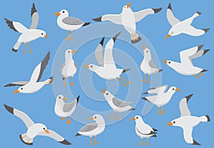 Atlantic white seabird fly at sky. Beach seagull at quay. Sea birds, gull cartoon vector illustration photo