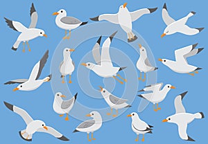 Atlantic white seabird fly at sky. Beach seagull at quay. Sea birds, gull cartoon vector illustration