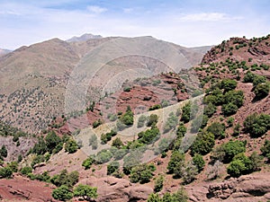 Atlas Mountains 2