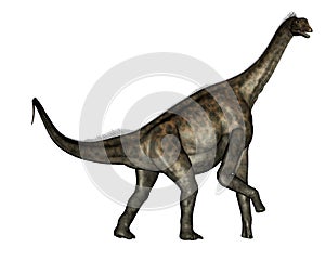 Atlasaurus dinosaur - 3D render