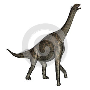 Atlasaurus dinosaur - 3D render
