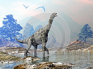 Atlasaurus dinosaur - 3D render