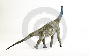 Atlasaurus , dinosaur on white background
