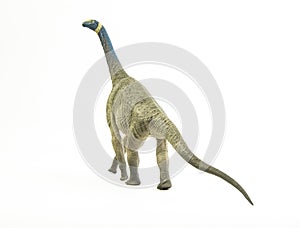 Atlasaurus , dinosaur on white background