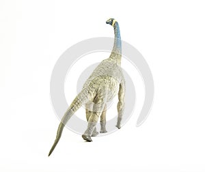 Atlasaurus , dinosaur on white background