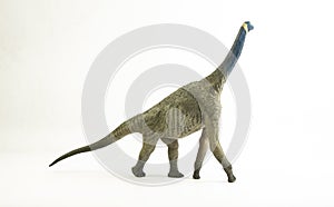 Atlasaurus , dinosaur on white background