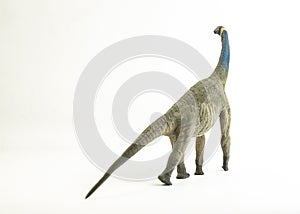 Atlasaurus , dinosaur on white background