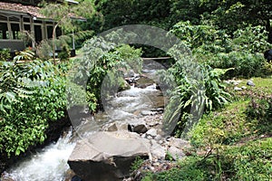 The atmosphere in the Coban Rondo waterfall which has many monkeys photo